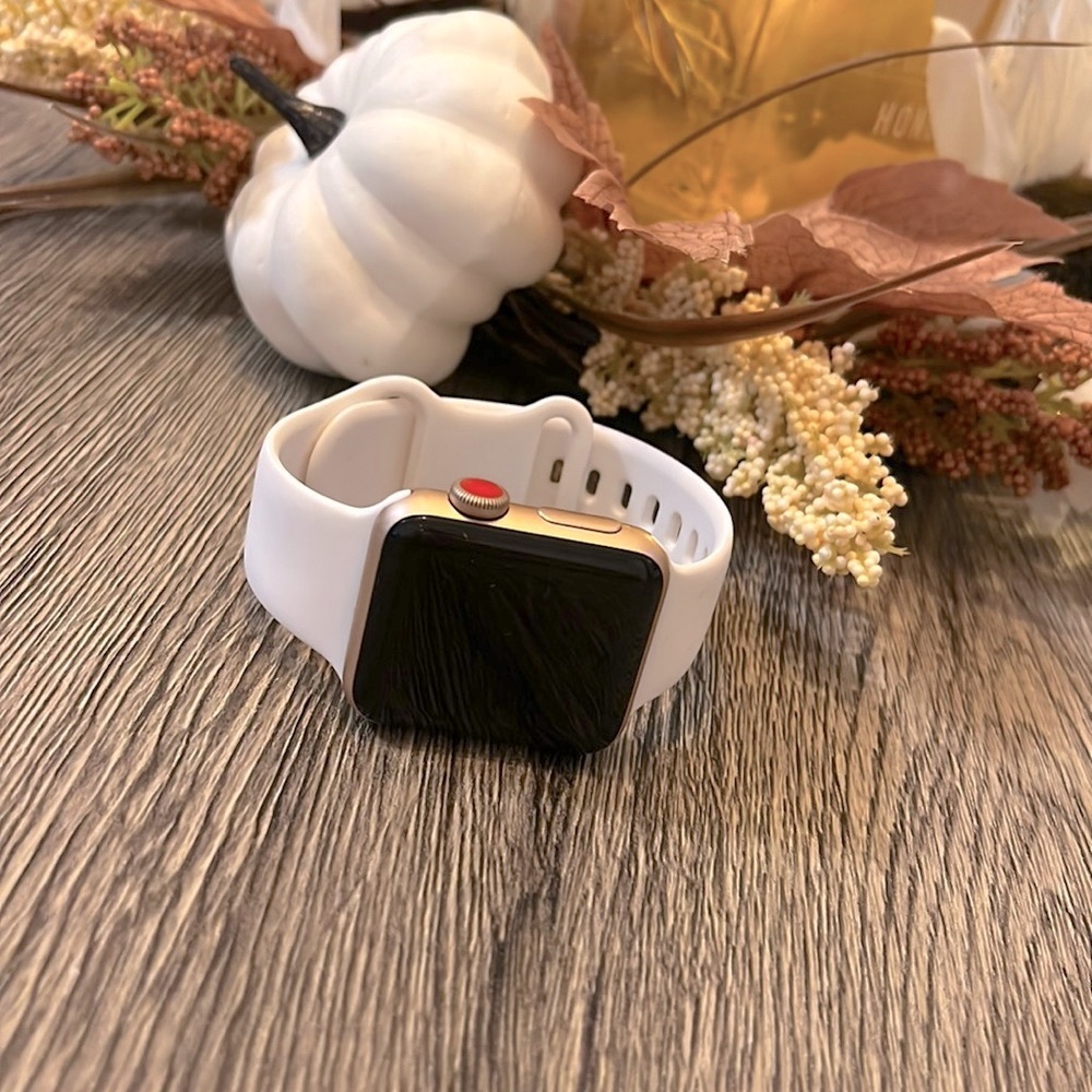 Series 3 Apple Watch/ 38mm